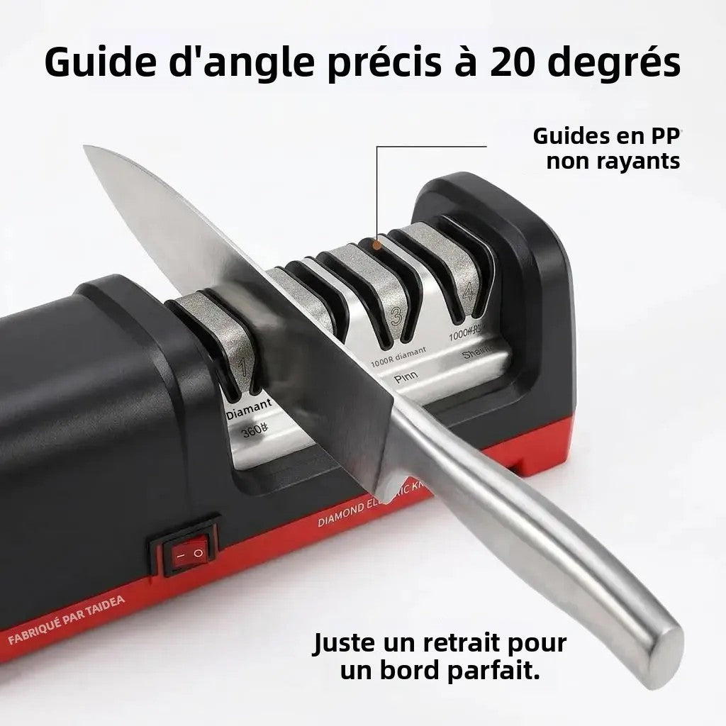Couteau tiré dans le guide d'angle à 20° de l'aiguiseur électrique Image